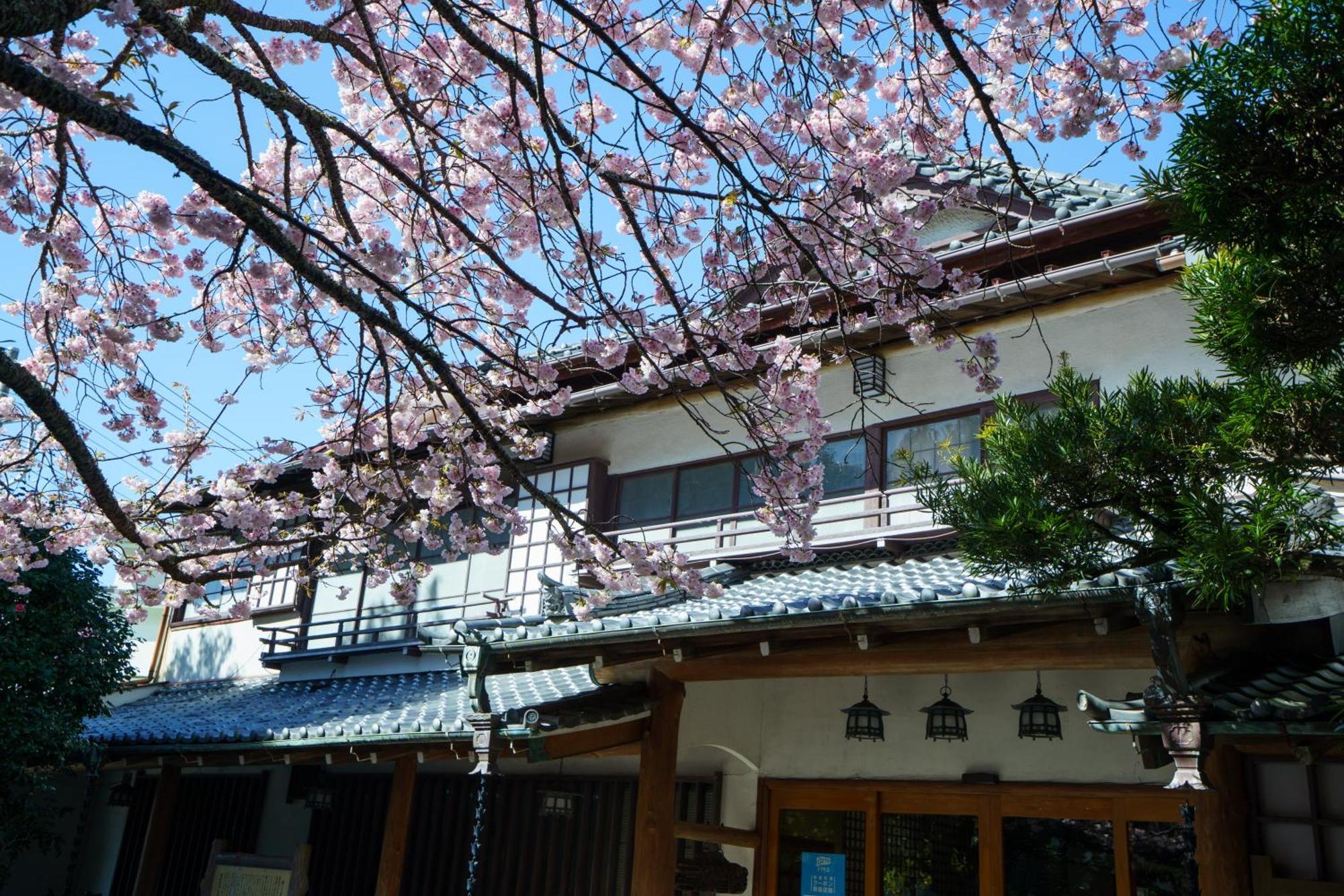 Sakahijiri Gyokushoen Izu  Exteriör bild